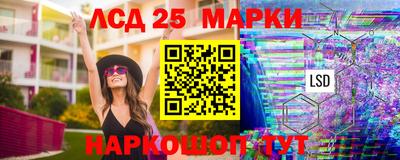 гидропоника Сланцы
