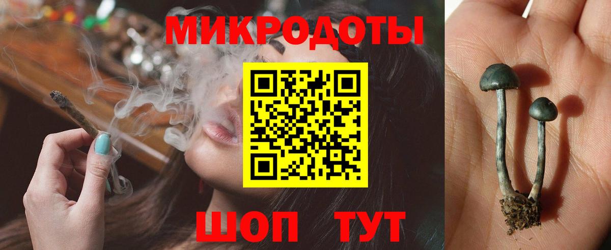 Псилоцибиновые грибы мухоморы Новороссийск